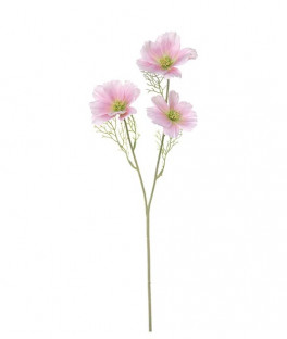 COSMOS 65CM BLANCO