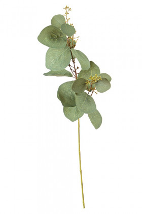 EUCALYPTUS 60CM VERT