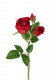 BRANCHE ROSE 40 CM ROUGE