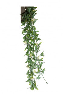 STEPHANOTIS GRLD 80CM GN/WT HEADER