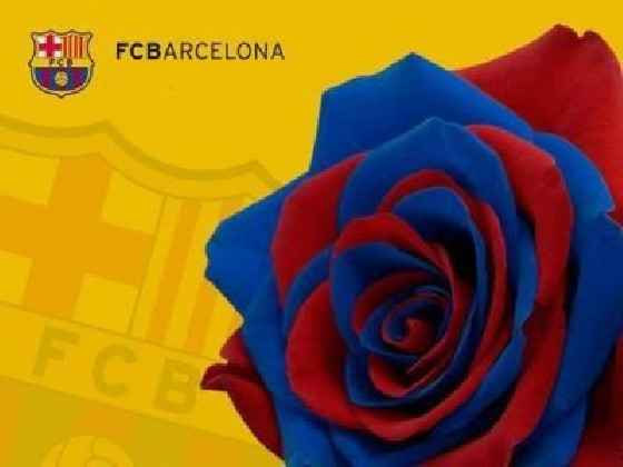 ROSA PRESERVADA BARCELONA